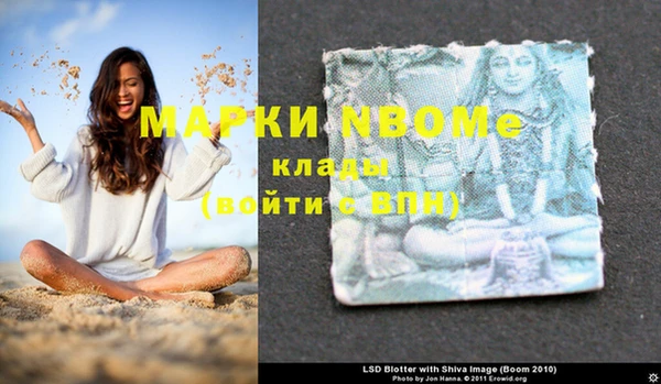 хмурый Новозыбков