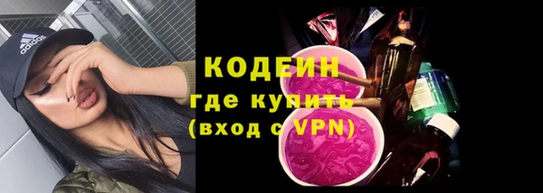 хмурый Новозыбков