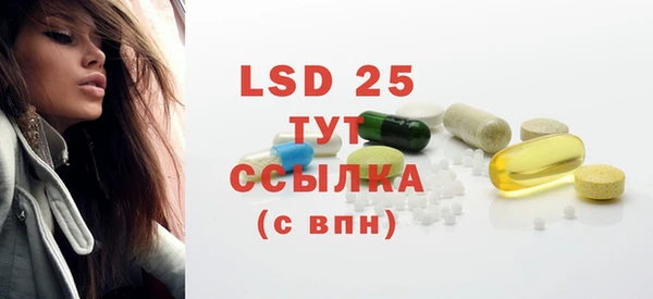 прущие грибы Нефтекумск