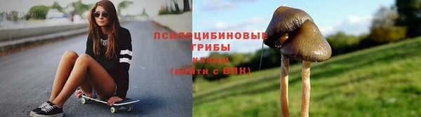 дживик Новокубанск