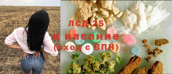 прущие грибы Нефтекумск