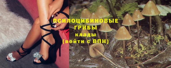 дживик Новокубанск