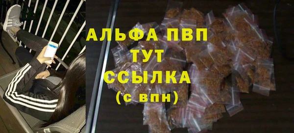 прущие грибы Нефтекумск