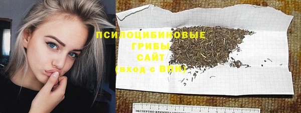 хмурый Новозыбков