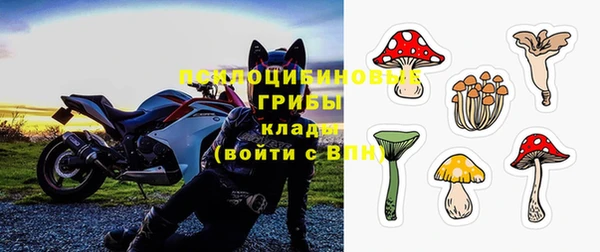 прущие грибы Нефтекумск