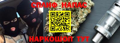 Альфа ПВП Будённовск