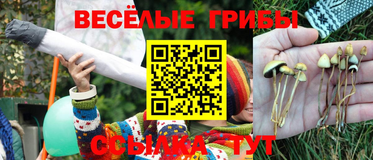 Псилоцибиновые грибы Psilocybe  Псилоцибиновые грибы Magic Shrooms  Вход с VPN  Знаменск 