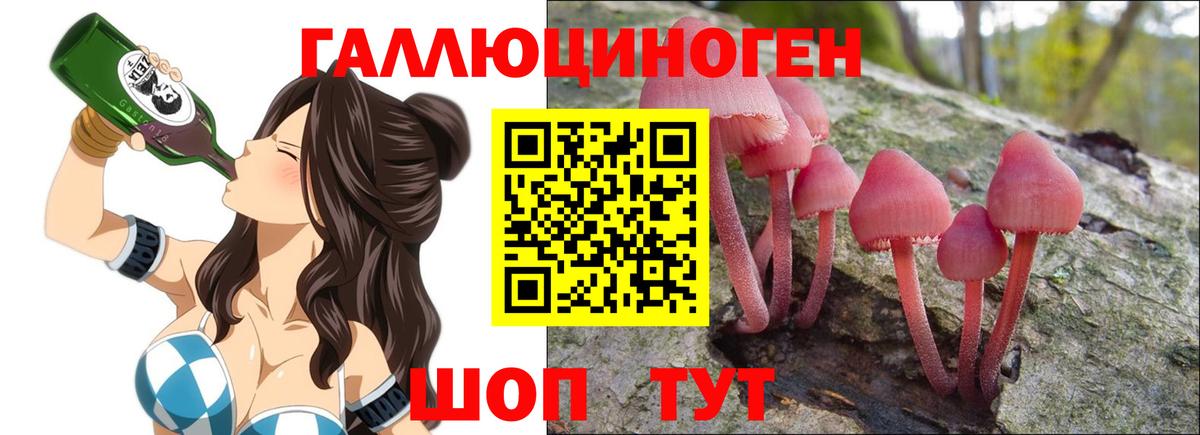 Псилоцибиновые грибы Psilocybine cubensis Знаменск