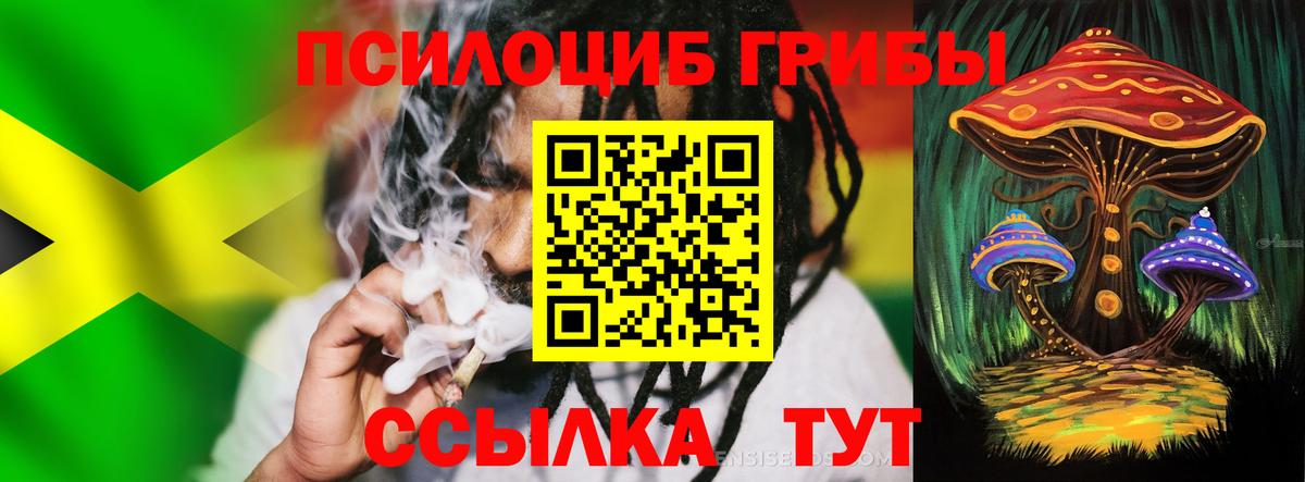 Галлюциногенные грибы Cubensis Знаменск